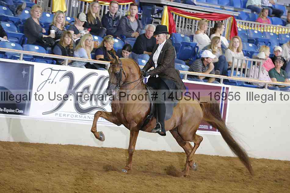 Proof 14usn_16956