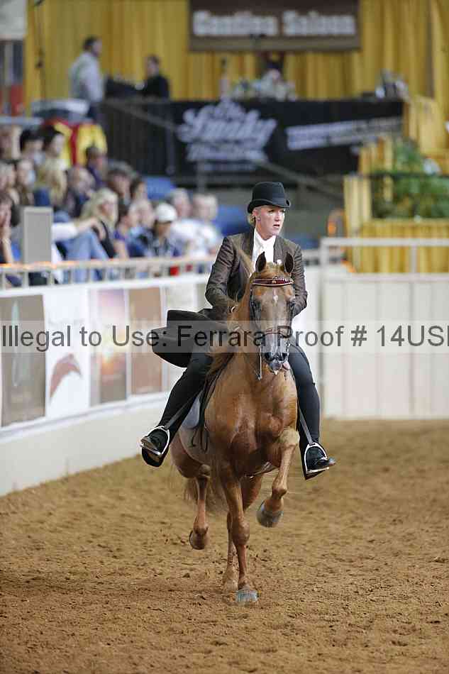 Proof 14usn_16960