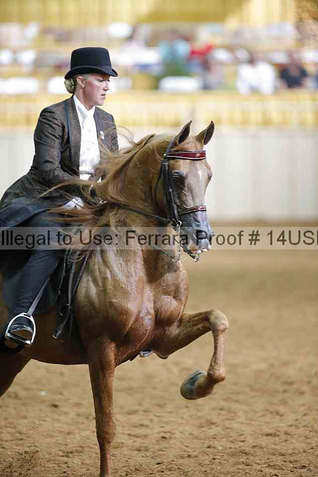 Proof 14usn_16961