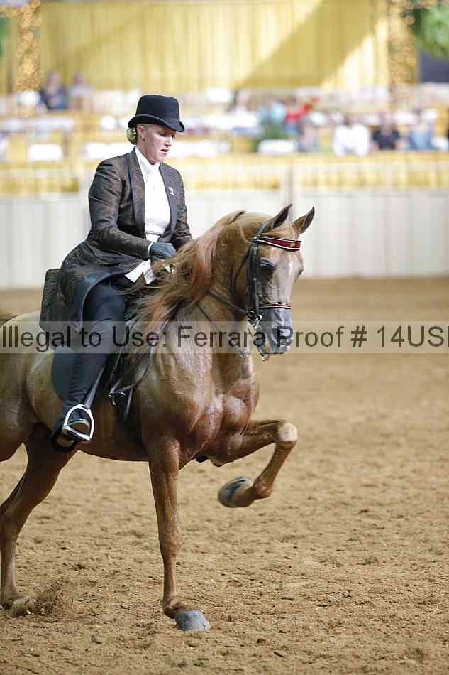 Proof 14usn_16975