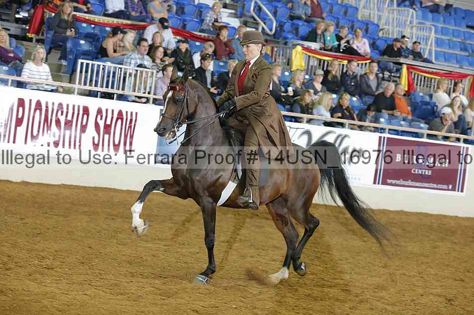 Proof 14usn_16976