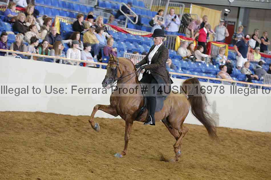 Proof 14usn_16978