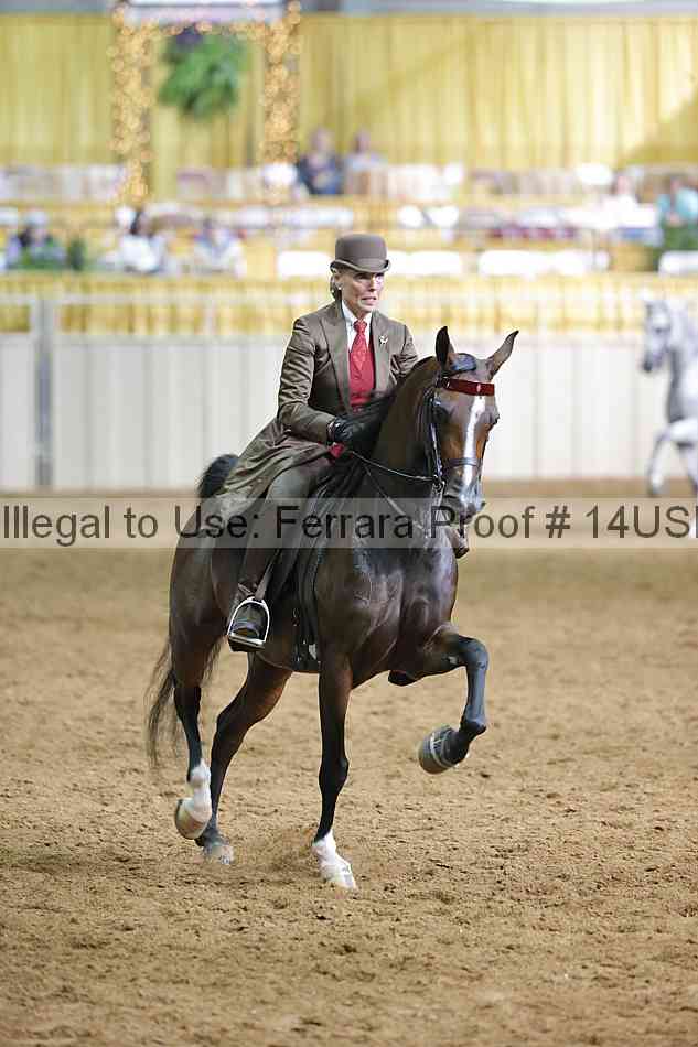 Proof 14usn_16979