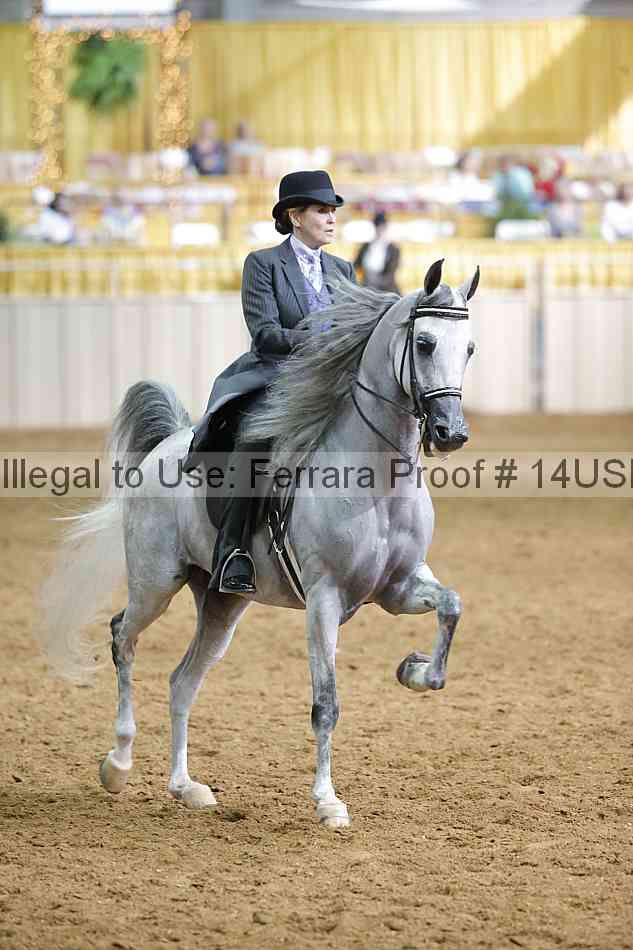 Proof 14usn_16982