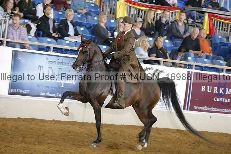 Proof 14usn_16988