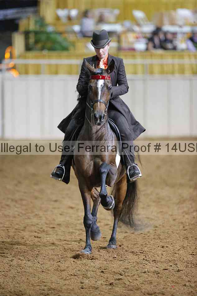 Proof 14usn_16991