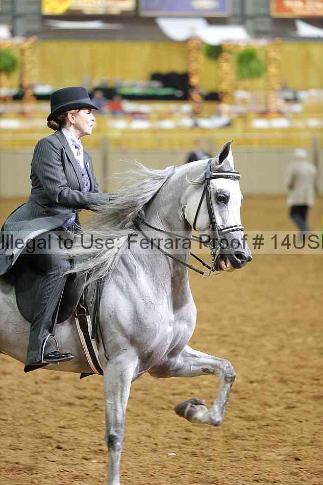 Proof 14usn_16997