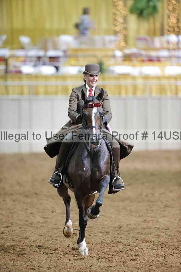 Proof 14usn_17019
