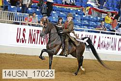 14usn_17023 proof