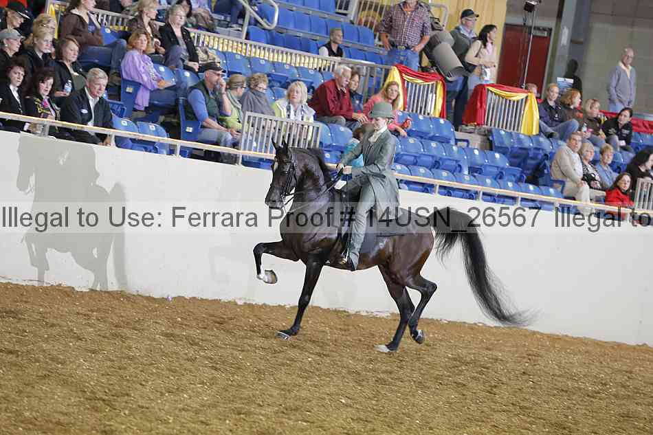 Proof 14usn_26567
