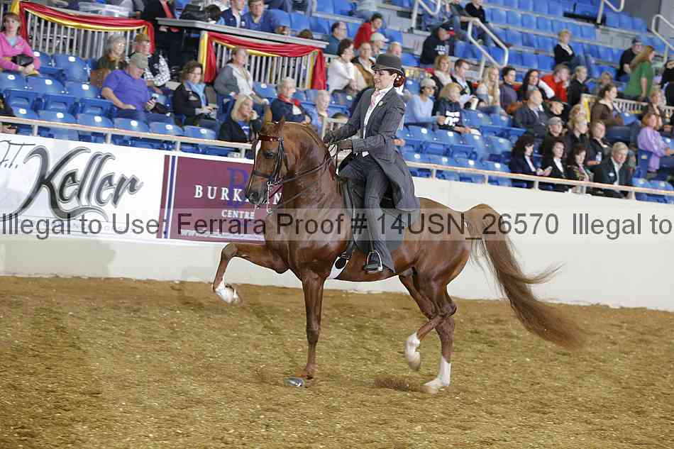 Proof 14usn_26570