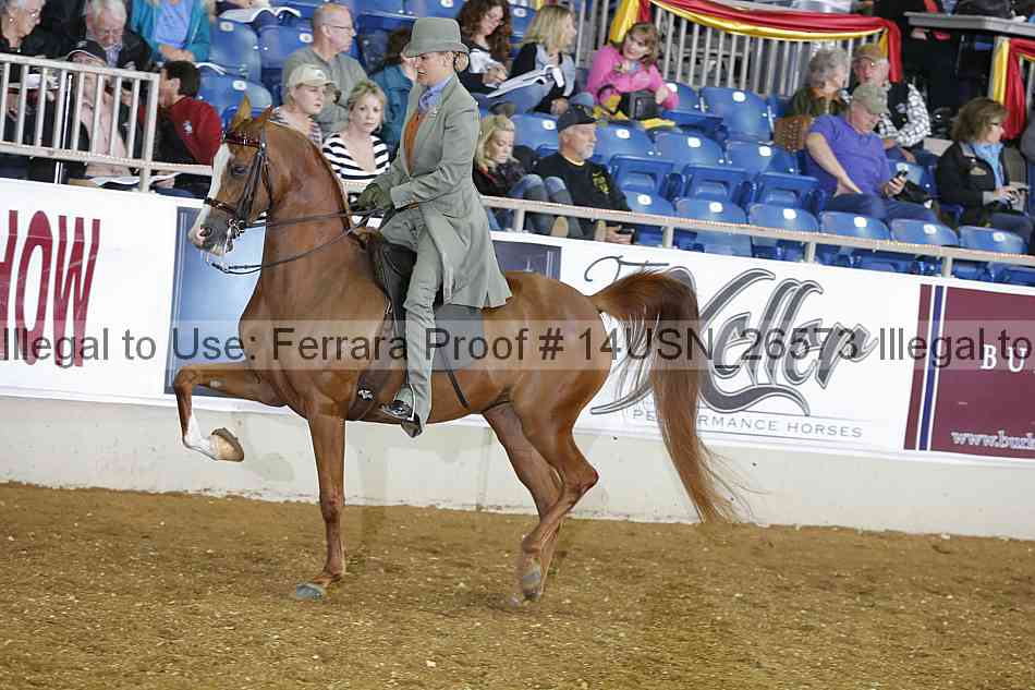 Proof 14usn_26573