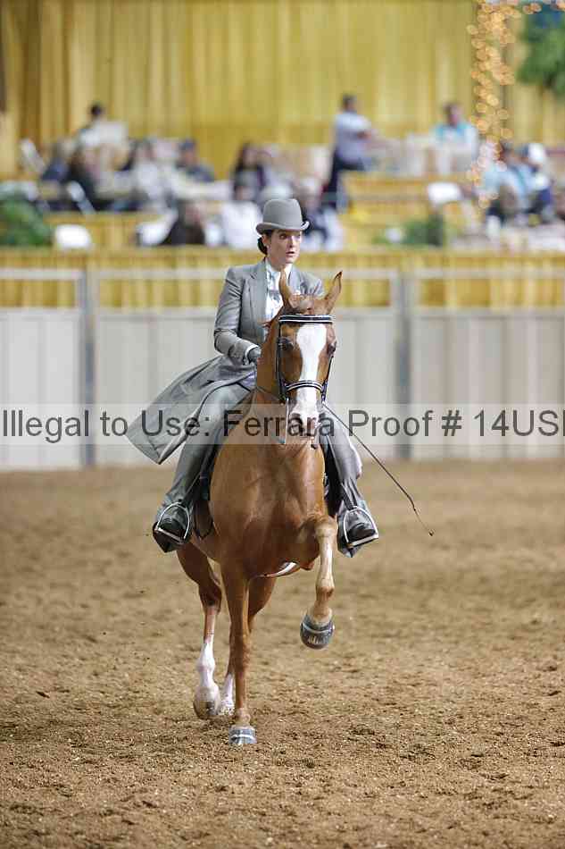 Proof 14usn_26576