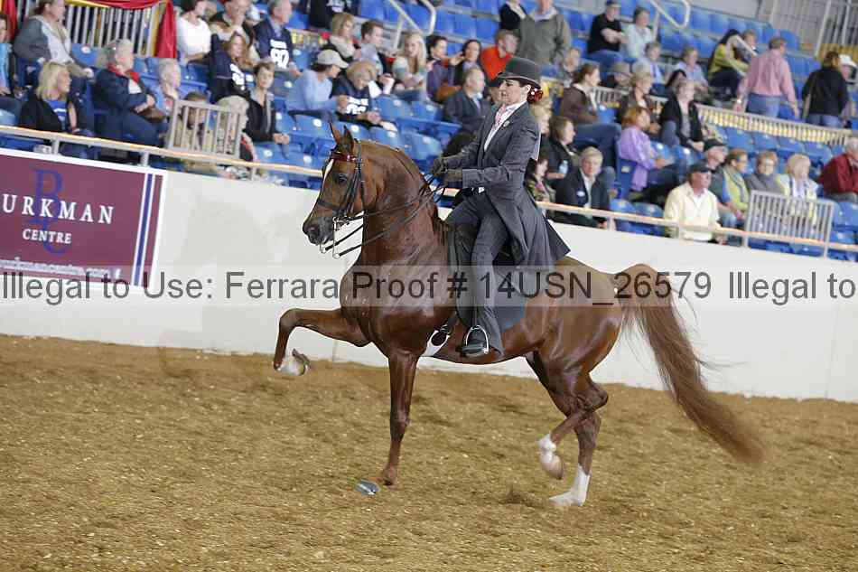 Proof 14usn_26579
