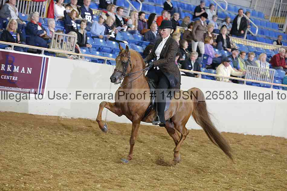 Proof 14usn_26583