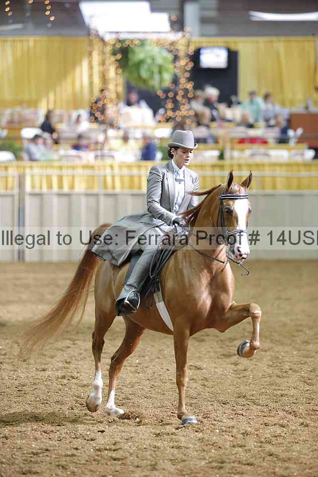 Proof 14usn_26584