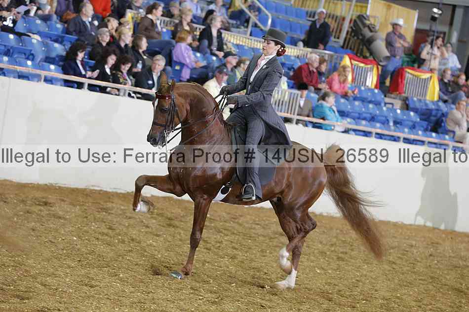 Proof 14usn_26589
