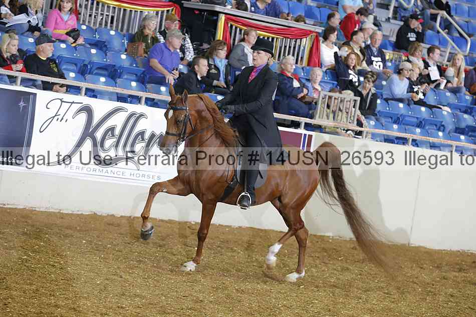 Proof 14usn_26593