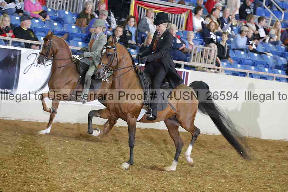 Proof 14usn_26594