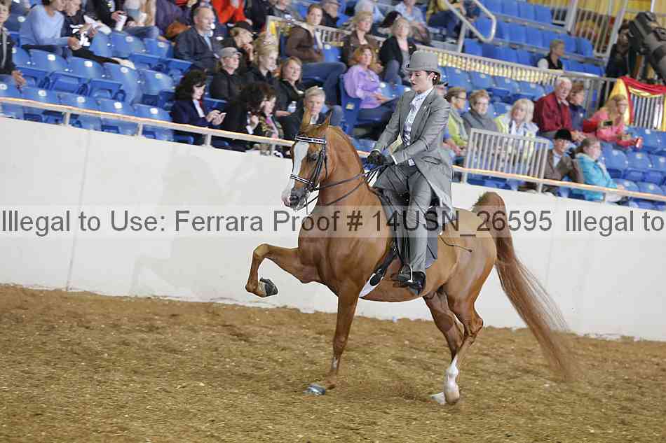 Proof 14usn_26595