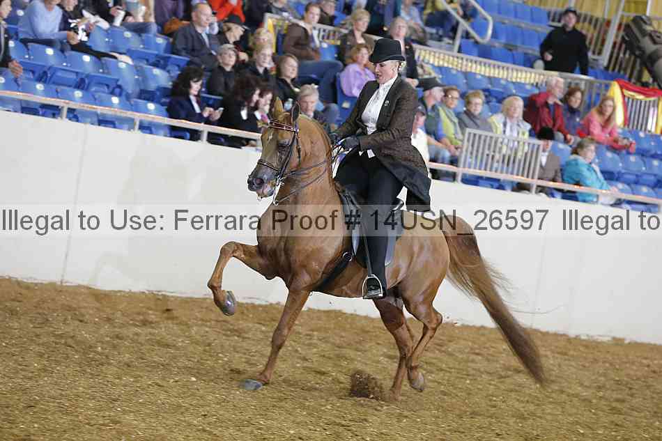 Proof 14usn_26597