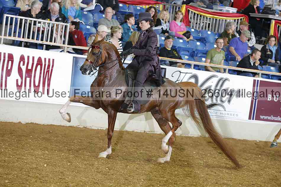 Proof 14usn_26604