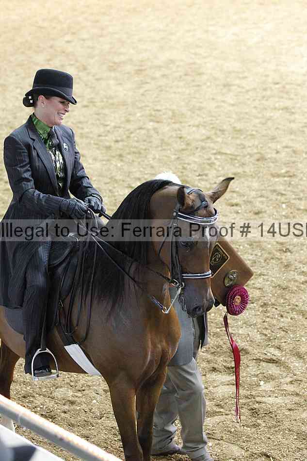 Proof 14usn_26637