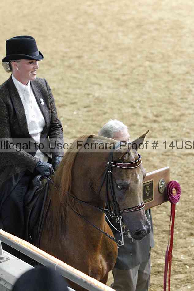 Proof 14usn_26642