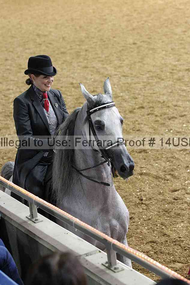 Proof 14usn_26655