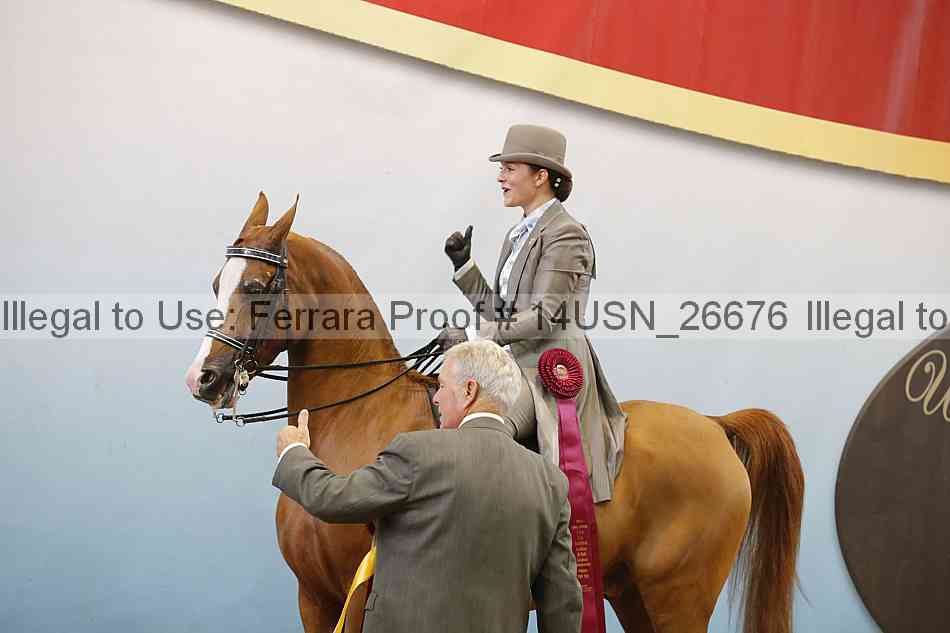 Proof 14usn_26676