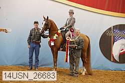 14usn_26683 proof