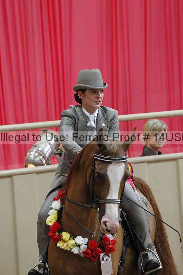 Proof 14usn_26689