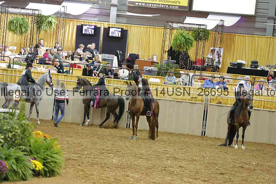 Proof 14usn_26695