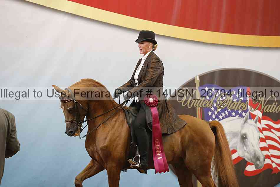 Proof 14usn_26704