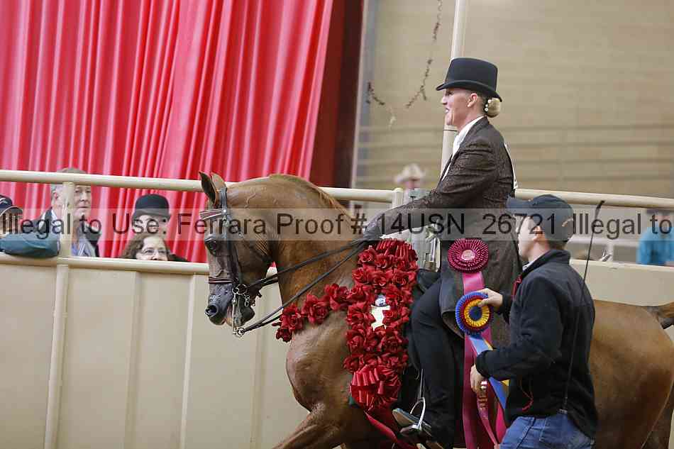 Proof 14usn_26721