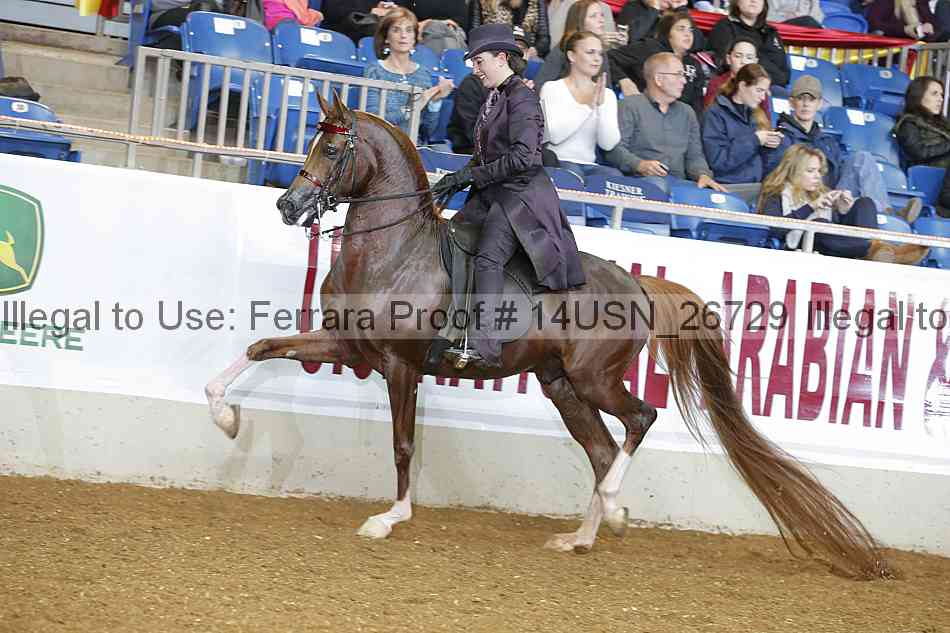 Proof 14usn_26729