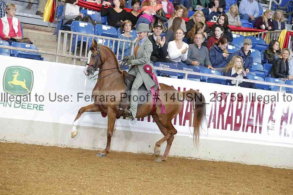 Proof 14usn_26759