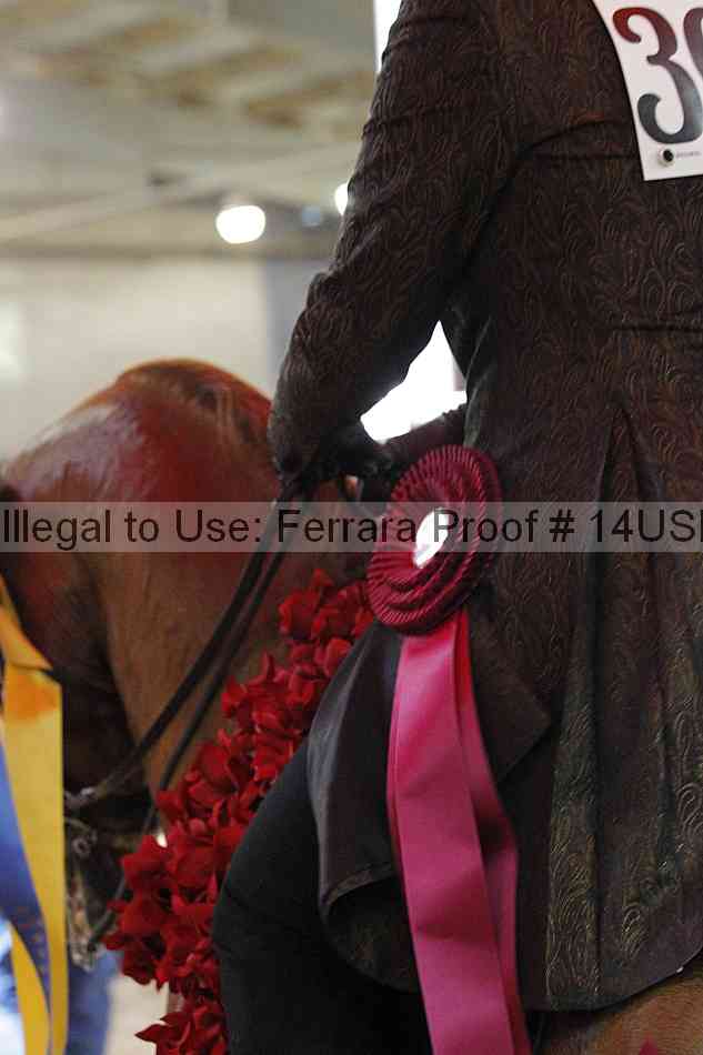 Proof 14usn_26802