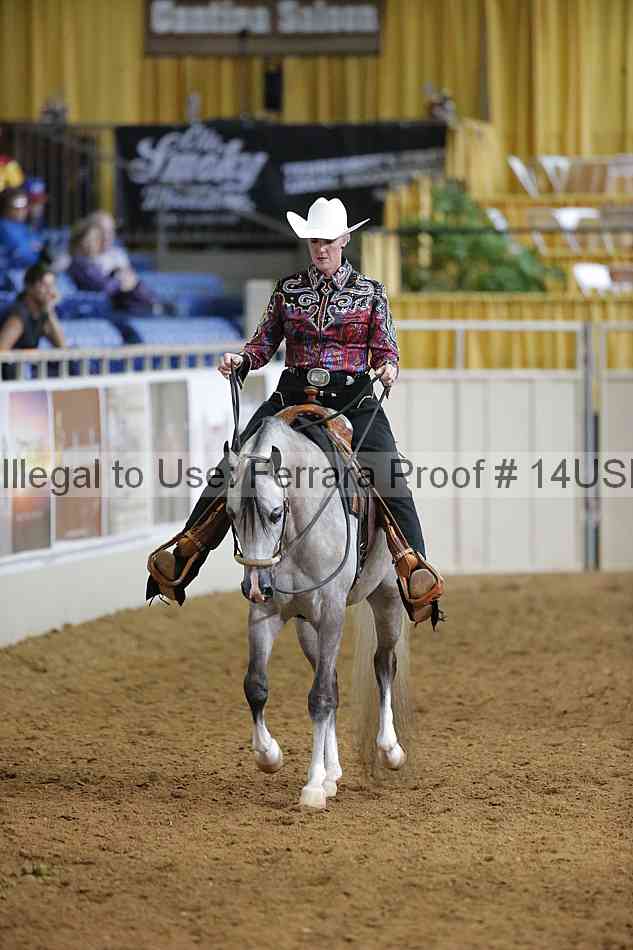 Proof 14usn_12547