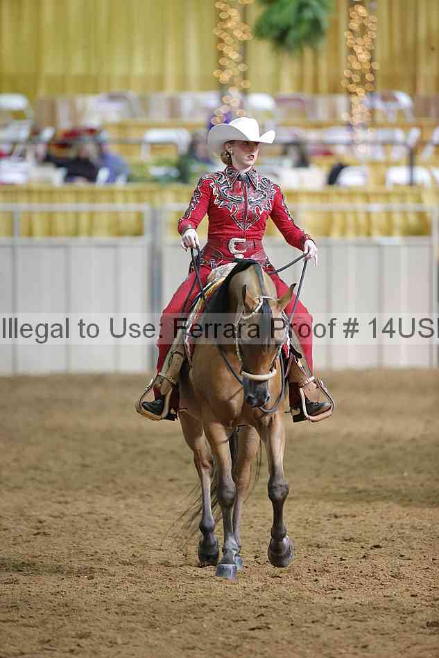 Proof 14usn_12556