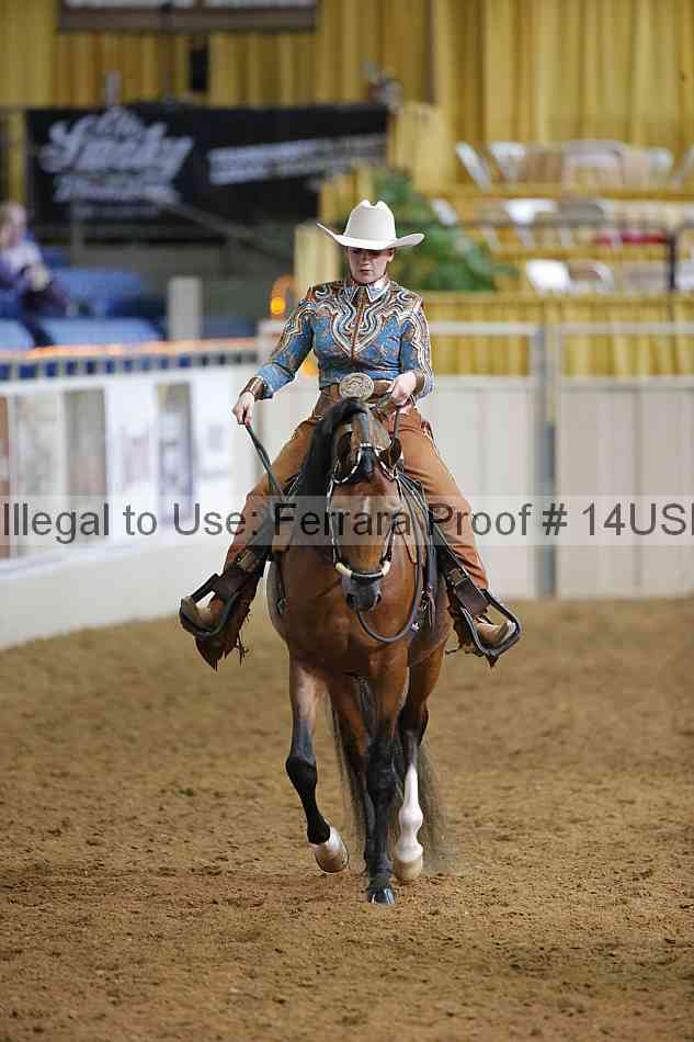 Proof 14usn_12558