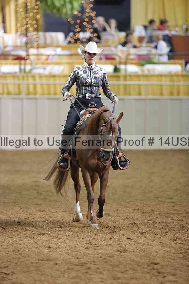 Proof 14usn_12567