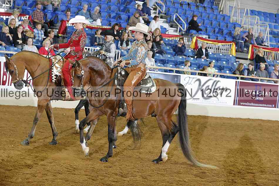 Proof 14usn_12572