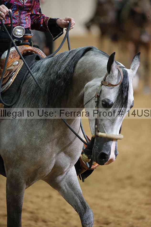 Proof 14usn_12576