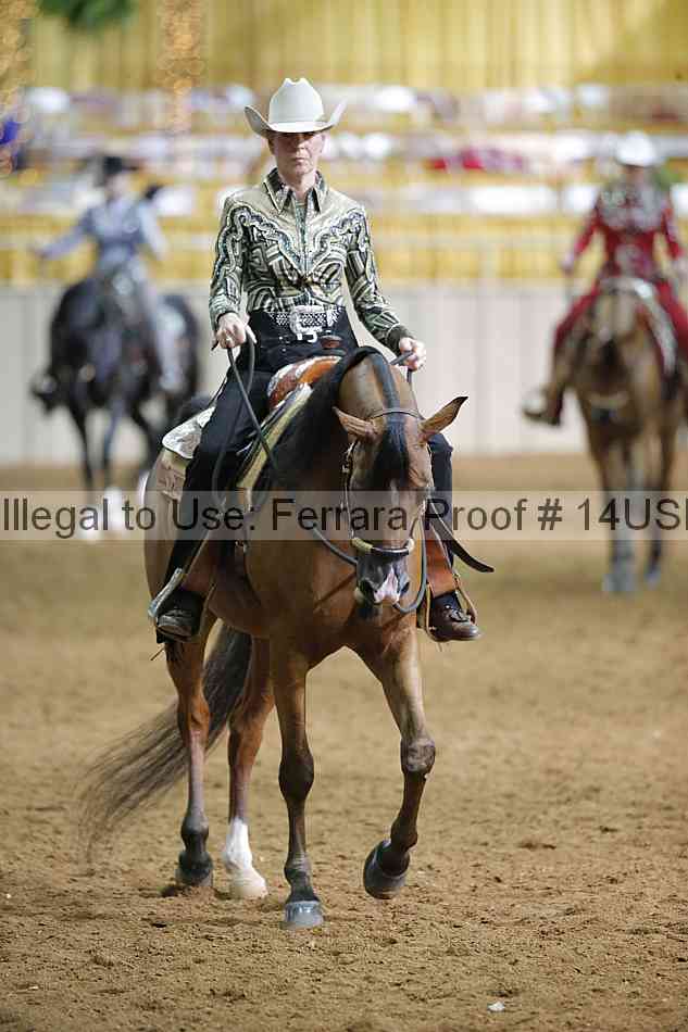 Proof 14usn_12581