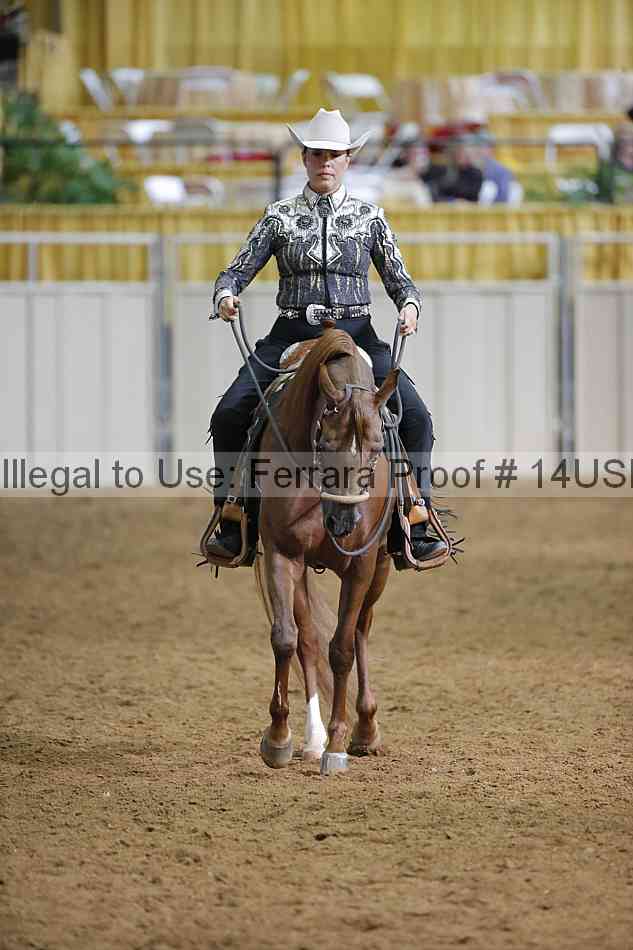 Proof 14usn_12587