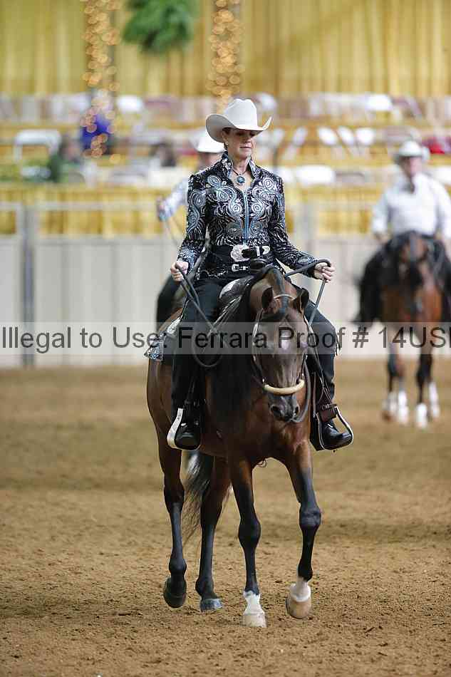 Proof 14usn_12594