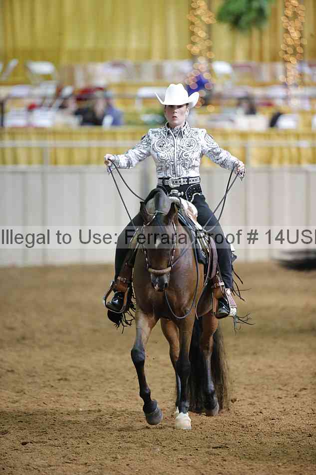 Proof 14usn_12597