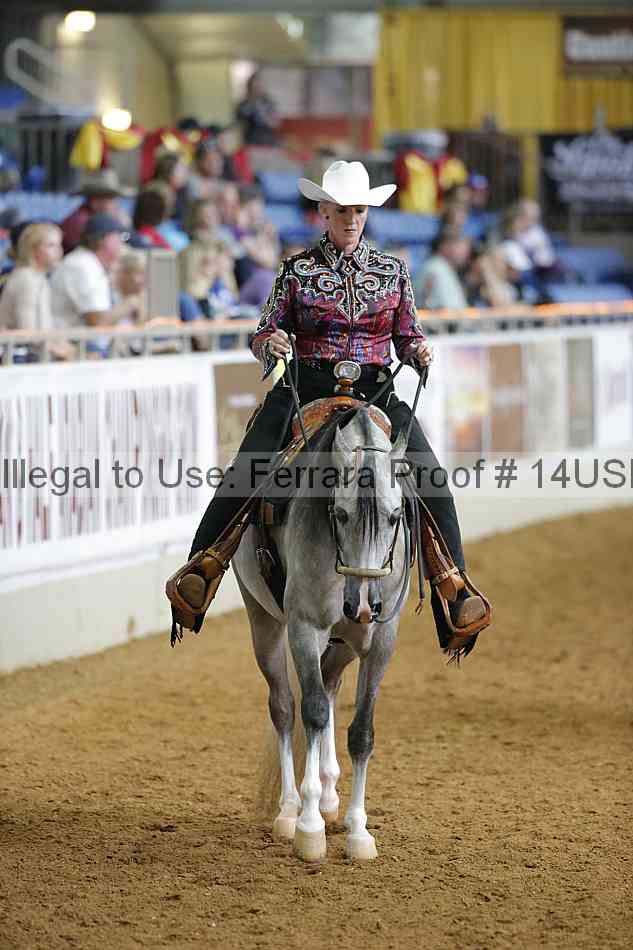 Proof 14usn_12610