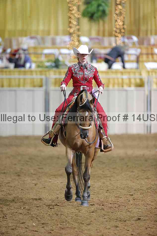 Proof 14usn_12623